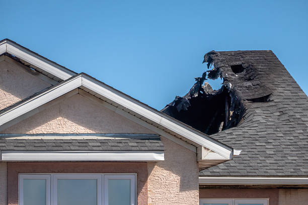 Top rated local Fire Damage Removal specialists in Round Hill, VA